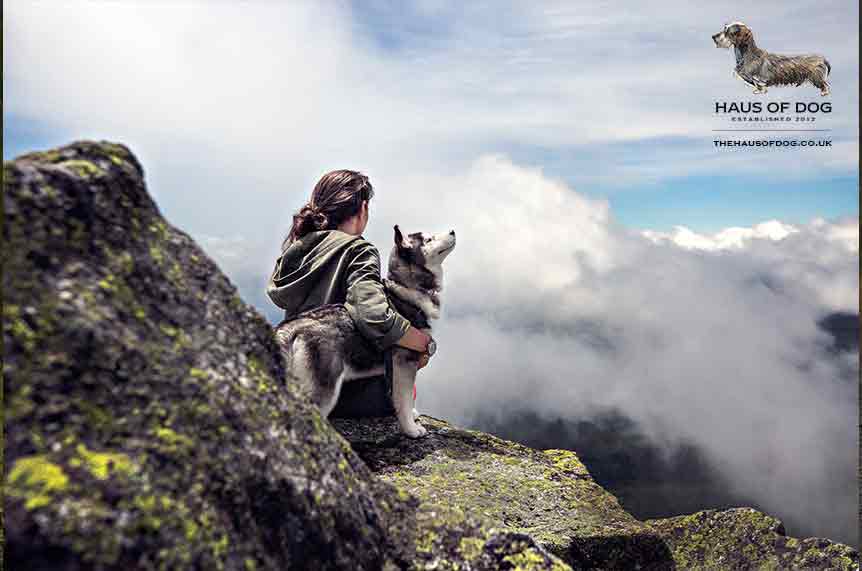 How to trek with my dog?